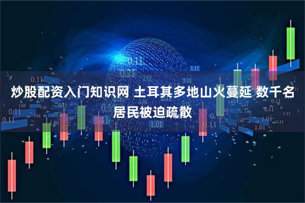 炒股配资入门知识网 土耳其多地山火蔓延 数千名居民被迫疏散